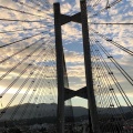 実際訪問したユーザーが直接撮影して投稿した中村町橋秩父公園橋の写真