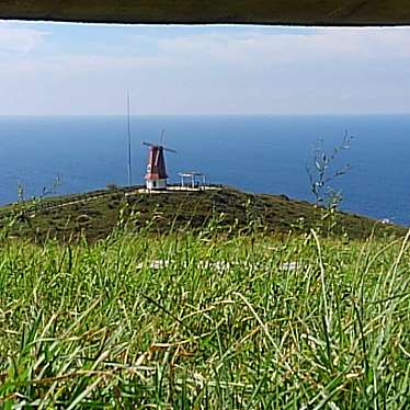 実際訪問したユーザーが直接撮影して投稿した大島歴史 / 遺跡砲台跡の写真