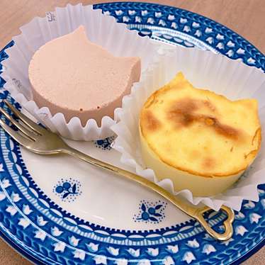 実際訪問したユーザーが直接撮影して投稿した蒲田ケーキねこねこチーズケーキ グランデュオ蒲田店の写真