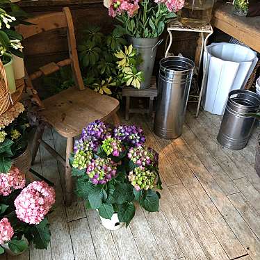 実際訪問したユーザーが直接撮影して投稿した中央町園芸用品 / 植木・苗木街のお花屋さんの写真