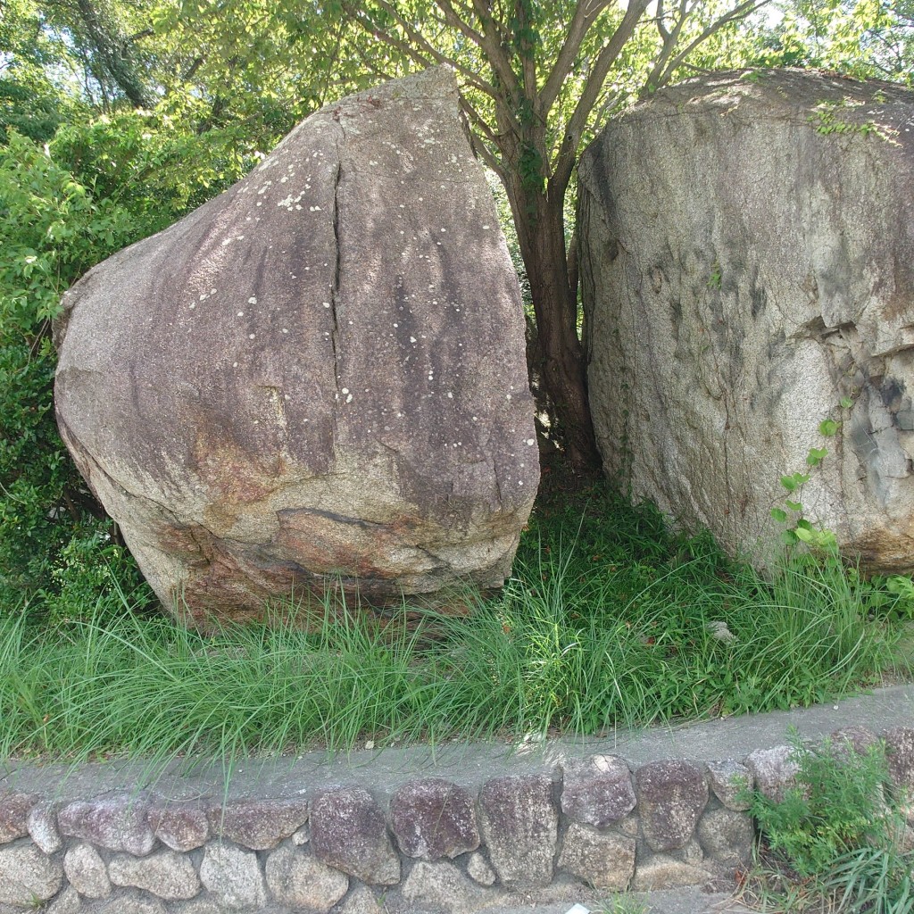 実際訪問したユーザーが直接撮影して投稿した鷲林寺南町岩夫婦岩の写真