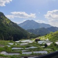 実際訪問したユーザーが直接撮影して投稿した自然名所丸山千枚田の写真