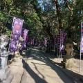 実際訪問したユーザーが直接撮影して投稿した有馬町神社花窟神社の写真