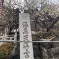 実際訪問したユーザーが直接撮影して投稿した湯島神社湯島天神の写真