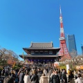 実際訪問したユーザーが直接撮影して投稿した芝公園寺大本山 増上寺の写真