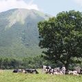 実際訪問したユーザーが直接撮影して投稿した大山山 / 峠大山の写真