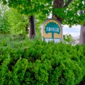実際訪問したユーザーが直接撮影して投稿した桑野公園大島中央公園の写真