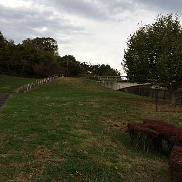 実際訪問したユーザーが直接撮影して投稿した鑓水公園鑓水公園の写真