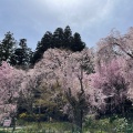 実際訪問したユーザーが直接撮影して投稿した赤穂寺光前寺の写真