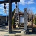 実際訪問したユーザーが直接撮影して投稿した犬山神社犬山神社の写真