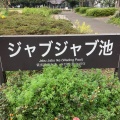 実際訪問したユーザーが直接撮影して投稿した駒沢公園駒沢オリンピック公園 ジャブジャブ池の写真