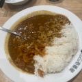 ポークカレー - 実際訪問したユーザーが直接撮影して投稿した石田カレーCoCo壱番屋 愛甲石田店の写真のメニュー情報