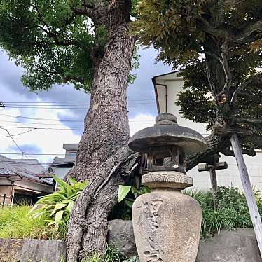 実際訪問したユーザーが直接撮影して投稿した谷中寺観音寺の写真