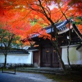 実際訪問したユーザーが直接撮影して投稿した萩尾寺呑山観音寺の写真