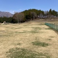 実際訪問したユーザーが直接撮影して投稿した高森公園月廻り公園の写真