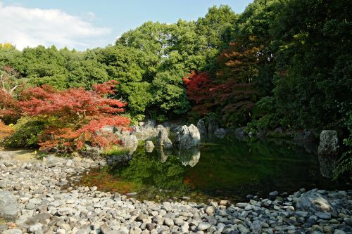 実際訪問したユーザーが直接撮影して投稿した千里万博公園庭園日本庭園の写真