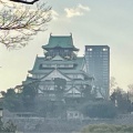 実際訪問したユーザーが直接撮影して投稿した大阪城公園大阪城公園の写真