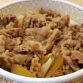 牛丼並 - 実際訪問したユーザーが直接撮影して投稿した松風町牛丼すき家 平塚松風店の写真のメニュー情報