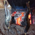 活アマゴ塩焼き - 実際訪問したユーザーが直接撮影して投稿した火打岩肉料理いわやの写真のメニュー情報