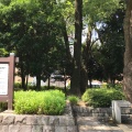 実際訪問したユーザーが直接撮影して投稿した清澄公園清澄公園の写真