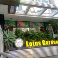 実際訪問したユーザーが直接撮影して投稿した南青山アジア / エスニックLotus Garden 表参道駅前店の写真