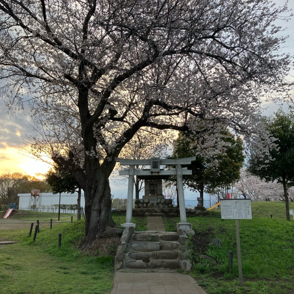 実際訪問したユーザーが直接撮影して投稿した新町公園七ツ塚公園の写真