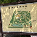 実際訪問したユーザーが直接撮影して投稿した田園調布公園宝来公園の写真