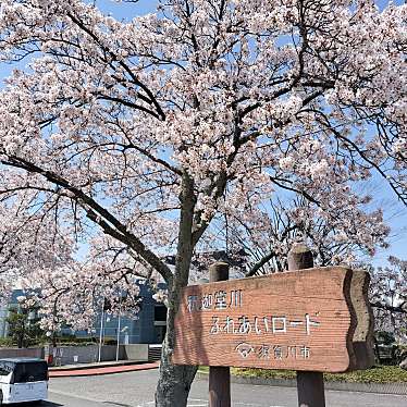 釈迦堂川ふれあいロードの桜並木のundefinedに実際訪問訪問したユーザーunknownさんが新しく投稿した新着口コミの写真