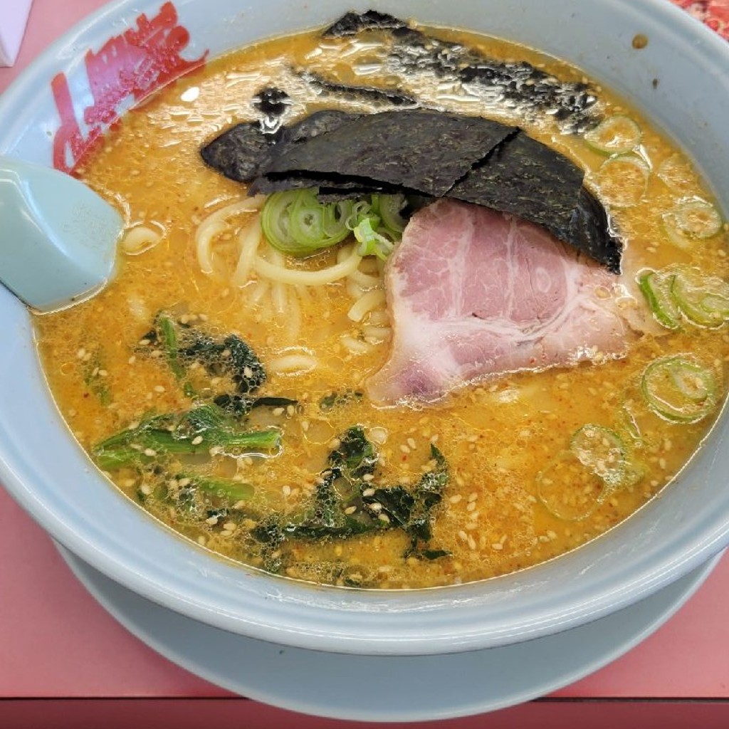 ユーザーが投稿した特製味噌ラーメンの写真 - 実際訪問したユーザーが直接撮影して投稿したウイング土屋ラーメン専門店ラーメン山岡家 成田店の写真