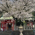 実際訪問したユーザーが直接撮影して投稿した元町神社厳島神社の写真