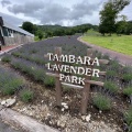 実際訪問したユーザーが直接撮影して投稿した植物園 / 樹木園たんばらラベンダーパークの写真