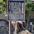 実際訪問したユーザーが直接撮影して投稿した中村町観光施設豊臣秀吉生誕地の写真