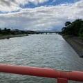 実際訪問したユーザーが直接撮影して投稿した河川宇治川の写真
