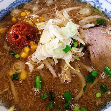 実際訪問したユーザーが直接撮影して投稿した婦気大堤ラーメン / つけ麺味美 藤田屋 横手店の写真