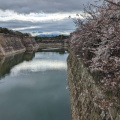 実際訪問したユーザーが直接撮影して投稿した河川南外濠の写真