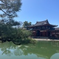 実際訪問したユーザーが直接撮影して投稿した宇治寺平等院鳳凰堂の写真