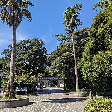 実際訪問したユーザーが直接撮影して投稿した江の島広場大道芸広場の写真