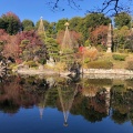 実際訪問したユーザーが直接撮影して投稿した目白庭園目白庭園の写真