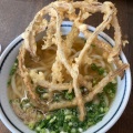 ごぼう天うどん - 実際訪問したユーザーが直接撮影して投稿した下境うどんうどん そば処 三升庵の写真のメニュー情報