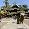 実際訪問したユーザーが直接撮影して投稿した柴又寺柴又帝釈天 題経寺の写真