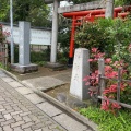 実際訪問したユーザーが直接撮影して投稿した弁天神社厳島神社の写真