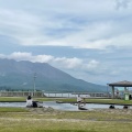 実際訪問したユーザーが直接撮影して投稿した本港新町公園ウォーターフロントパークの写真