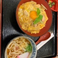 絶品親子丼 - 実際訪問したユーザーが直接撮影して投稿した高見丘居酒屋がブリチキン。 ららぽーと磐田店の写真のメニュー情報