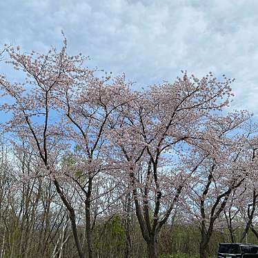 実際訪問したユーザーが直接撮影して投稿した厚田区望来公園戸田記念墓地公園の写真