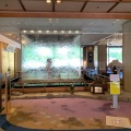 実際訪問したユーザーが直接撮影して投稿した湯之島温泉旅館下呂温泉 小川屋の写真