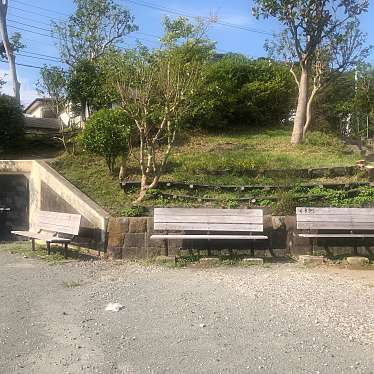 実際訪問したユーザーが直接撮影して投稿した林公園武山公園の写真