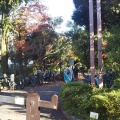 実際訪問したユーザーが直接撮影して投稿した高円寺北公園馬橋公園の写真