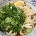 ぶっかけうどん - 実際訪問したユーザーが直接撮影して投稿した宮西うどんめんた フードコート松山店の写真のメニュー情報