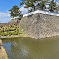 実際訪問したユーザーが直接撮影して投稿した城内歴史 / 遺跡西の櫓の写真