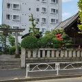 実際訪問したユーザーが直接撮影して投稿した亀沢神社野見宿禰神社の写真